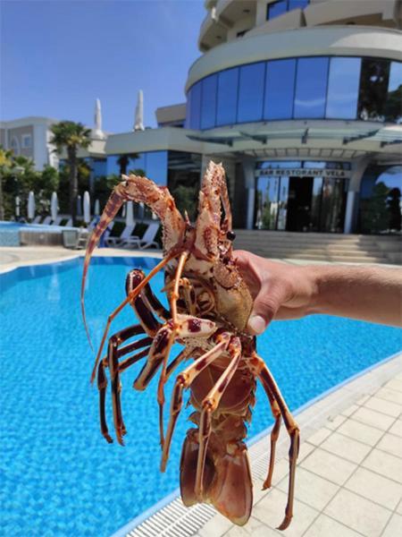 Hotel Vela Restaurant Golem (Tirana)